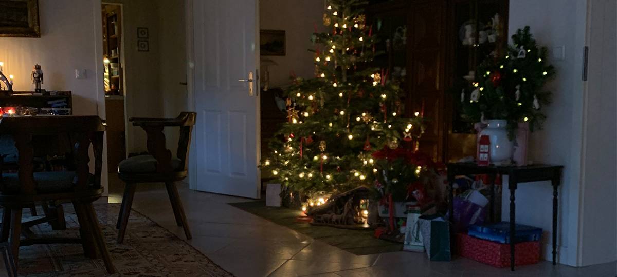 Kreisveterinäramt warnt: Keine Tiere als Weihnachtsgeschenk