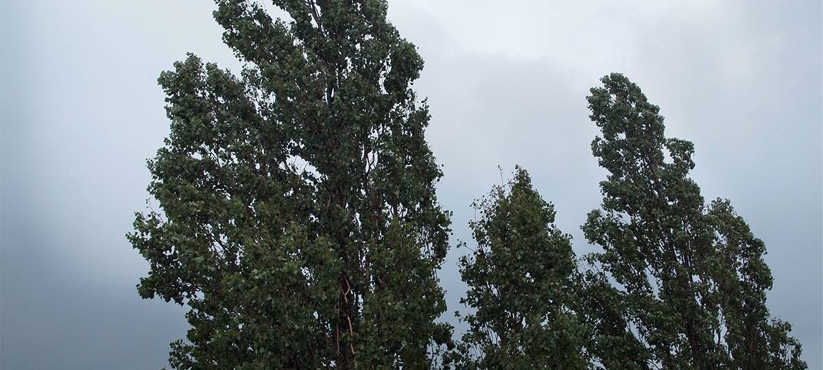 Stürmisches Wetter: Hörer warnen Hörer