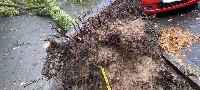 "Ignatz" sorgte für viele Einsätze