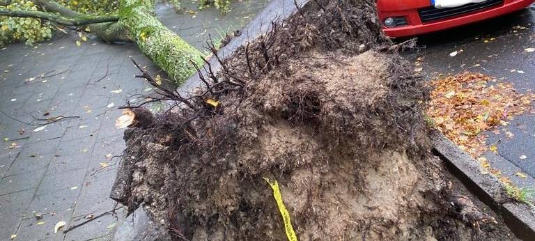 "Ignatz" sorgte für viele Einsätze