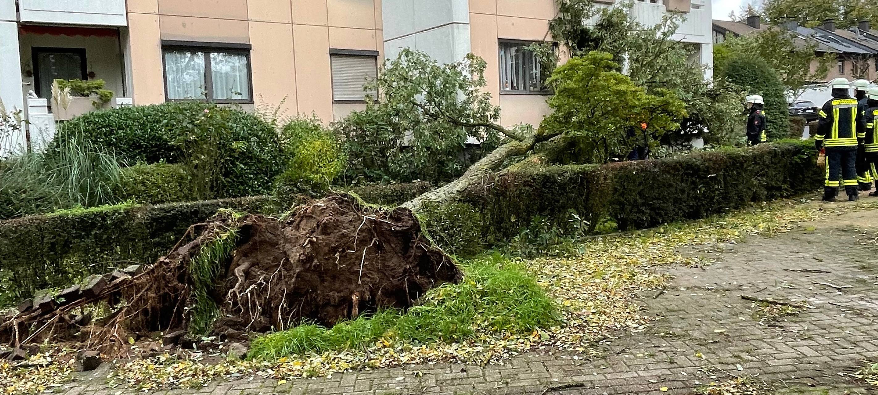 "Ignatz" sorgte für viele Einsätze