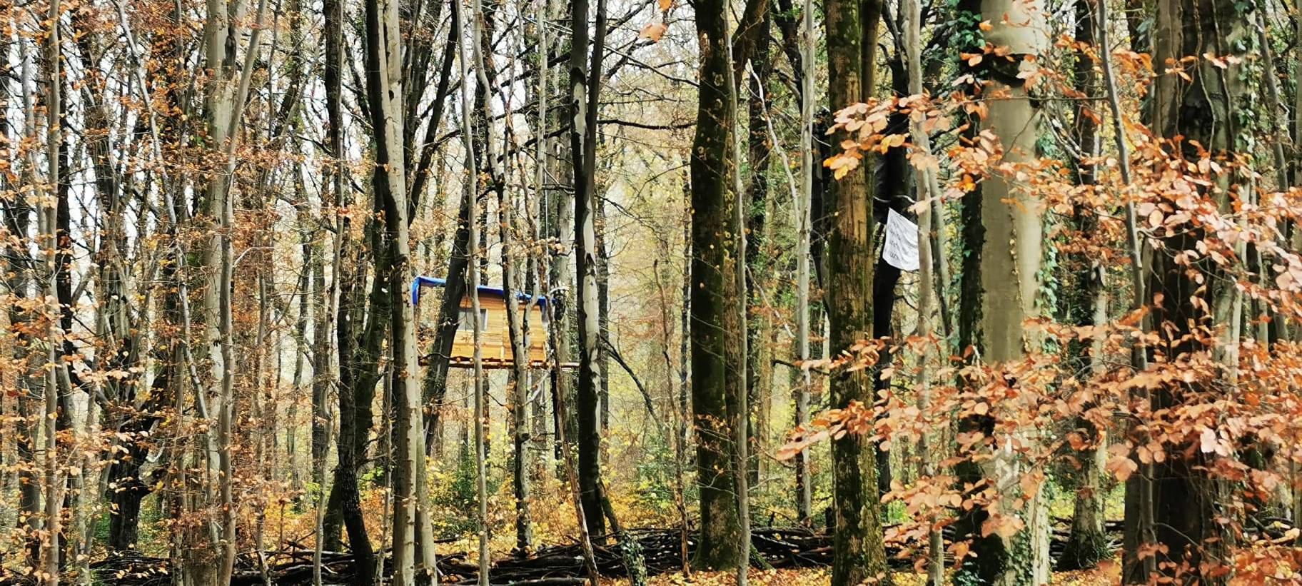 Osterholzer Wald: Räumung bislang friedlich