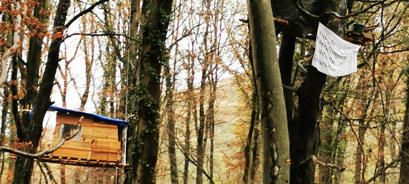 Räumung im Osterholzer Wald beendet