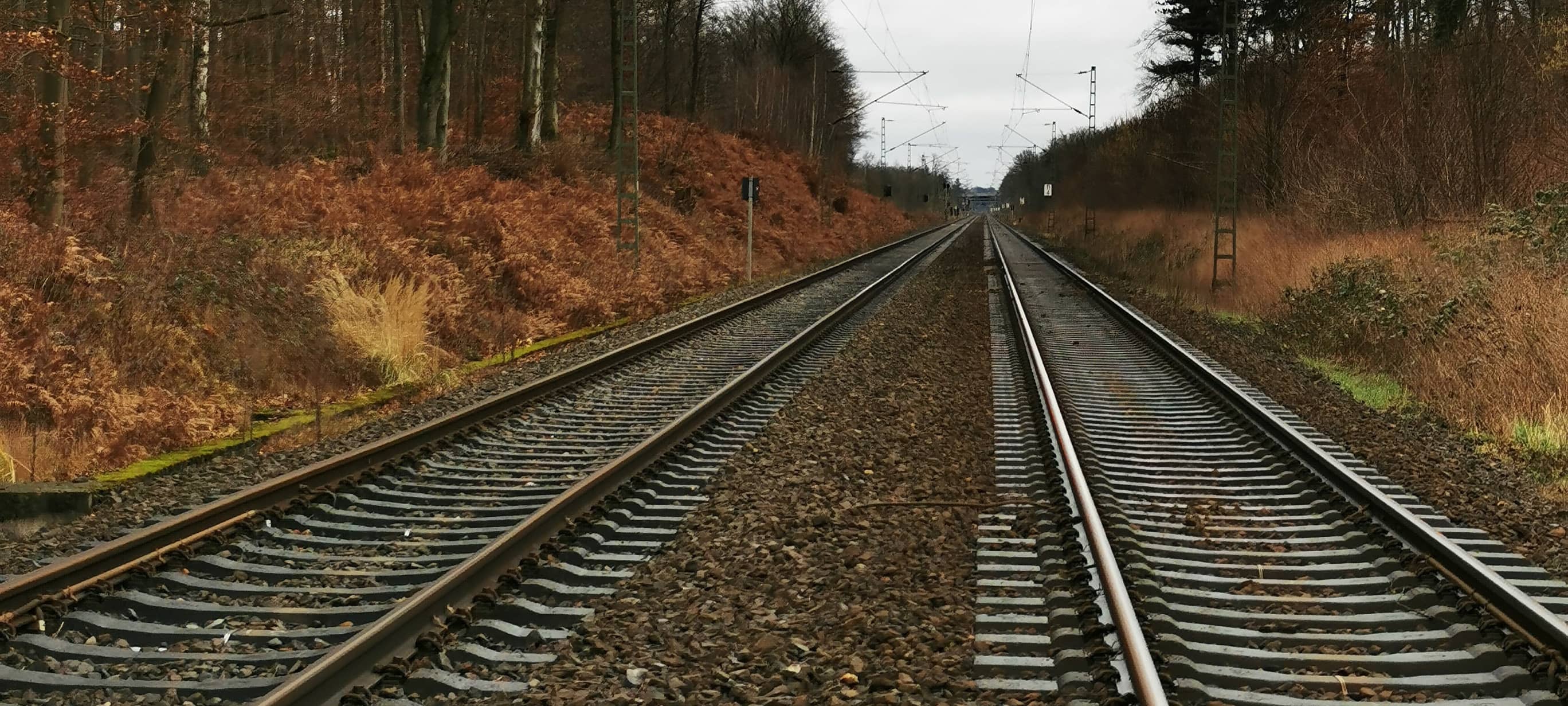 Bund der Steuerzahler kritisiert VRR wegen S6