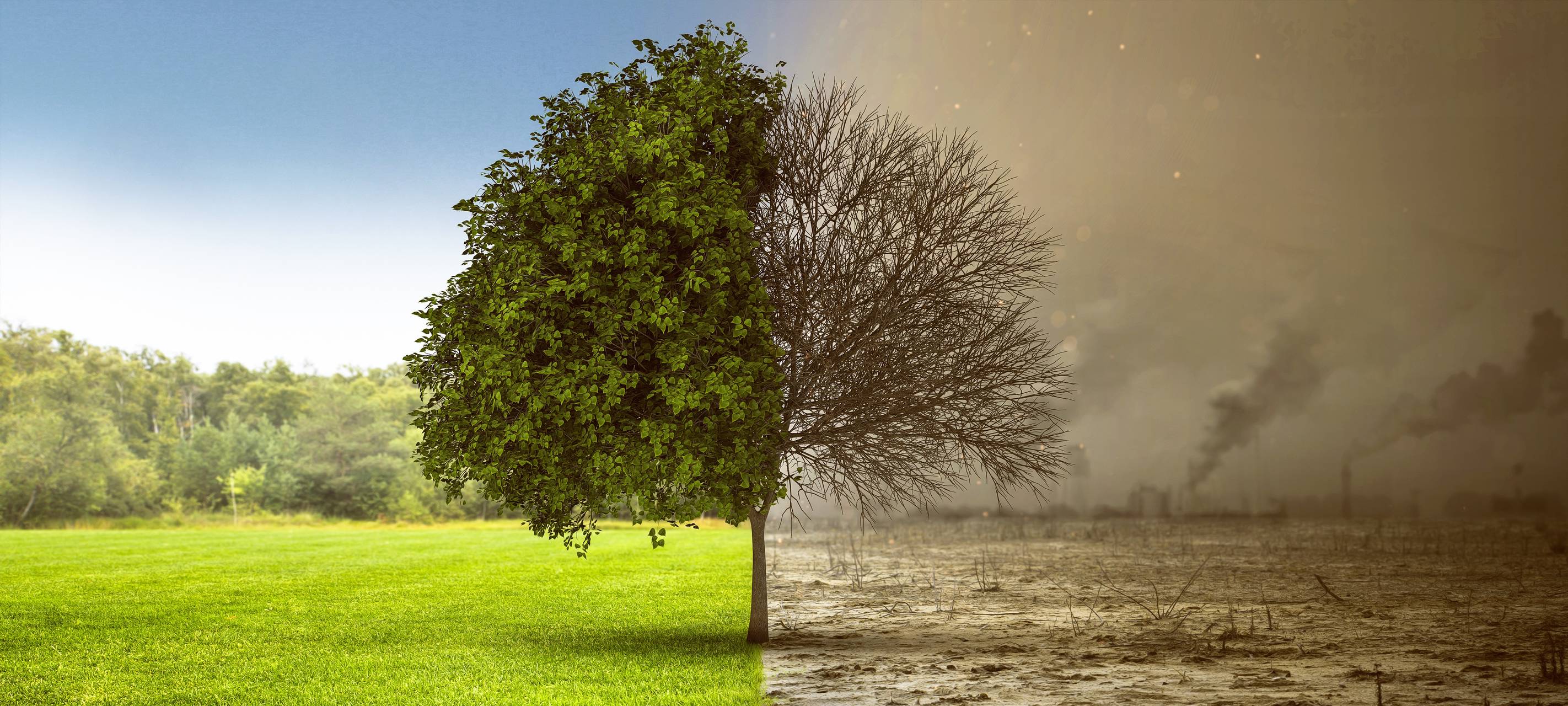 Haan startet in die Nachhaltigkeitswoche