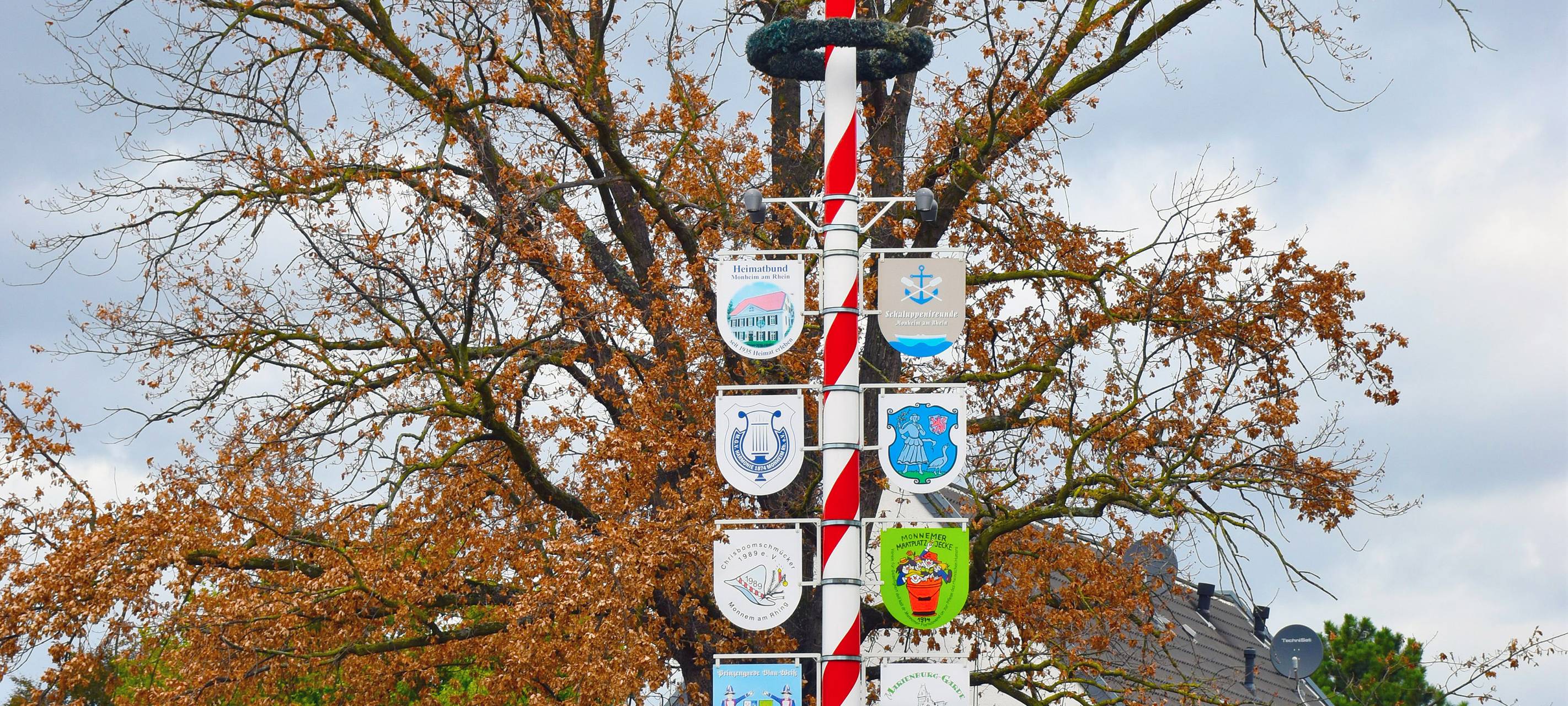 Eiche am Kradepohl ist krank