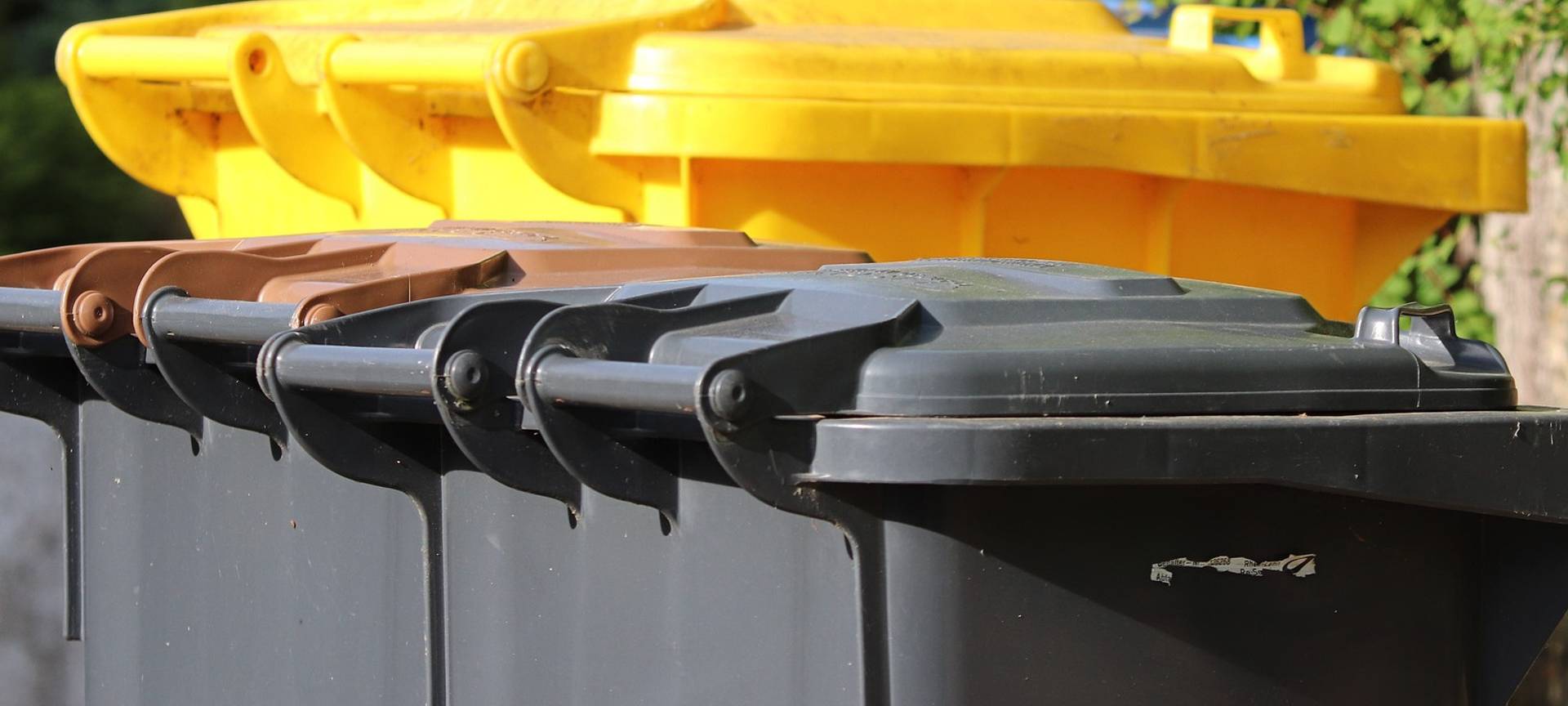 Immer Ärger mit der gelben Tonne