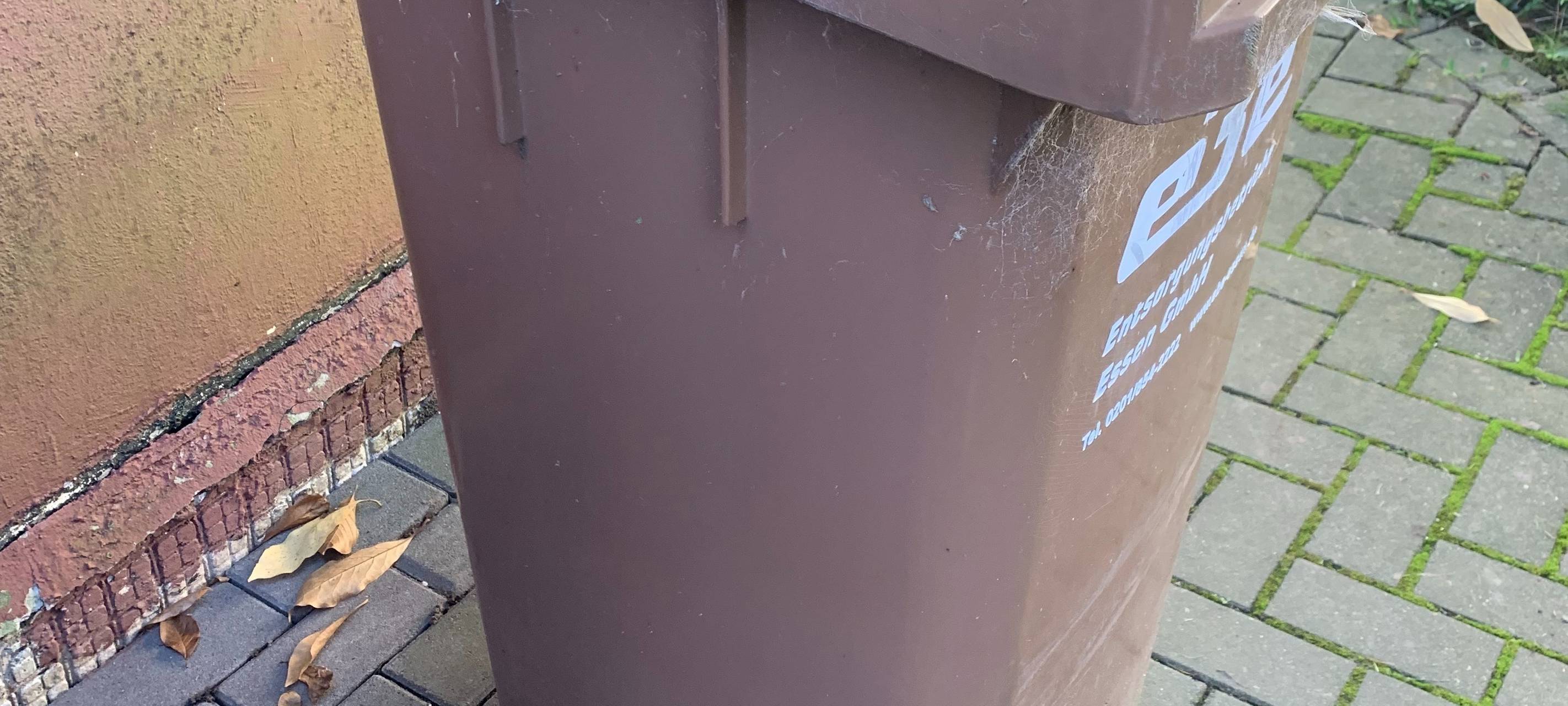 Hilden: Biotonnen werden ab Montag abgeholt