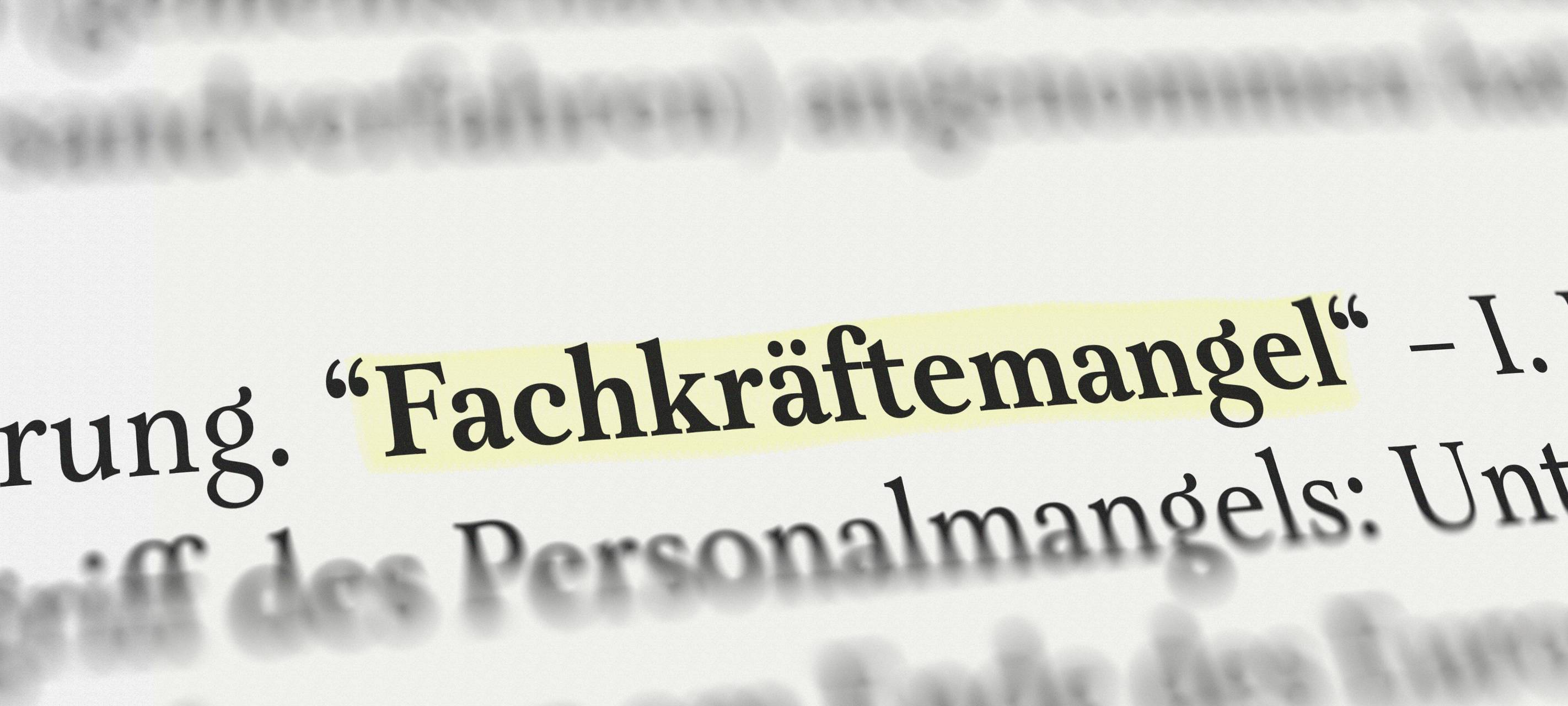 Neue Plattform: Kreis Mettmann wirbt um Fachkräfte