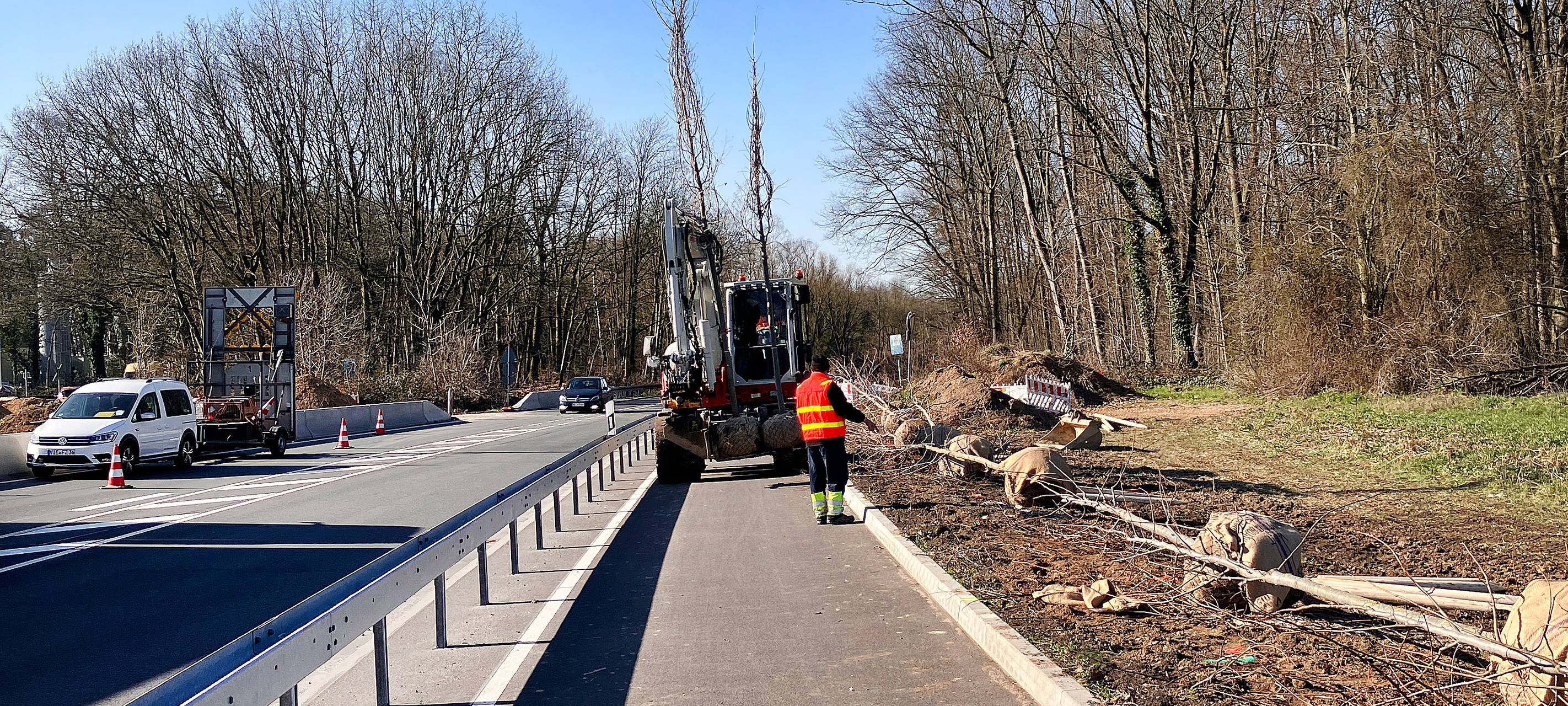 Stadt Monheim pflanzt über 1000 Bäume und Sträucher