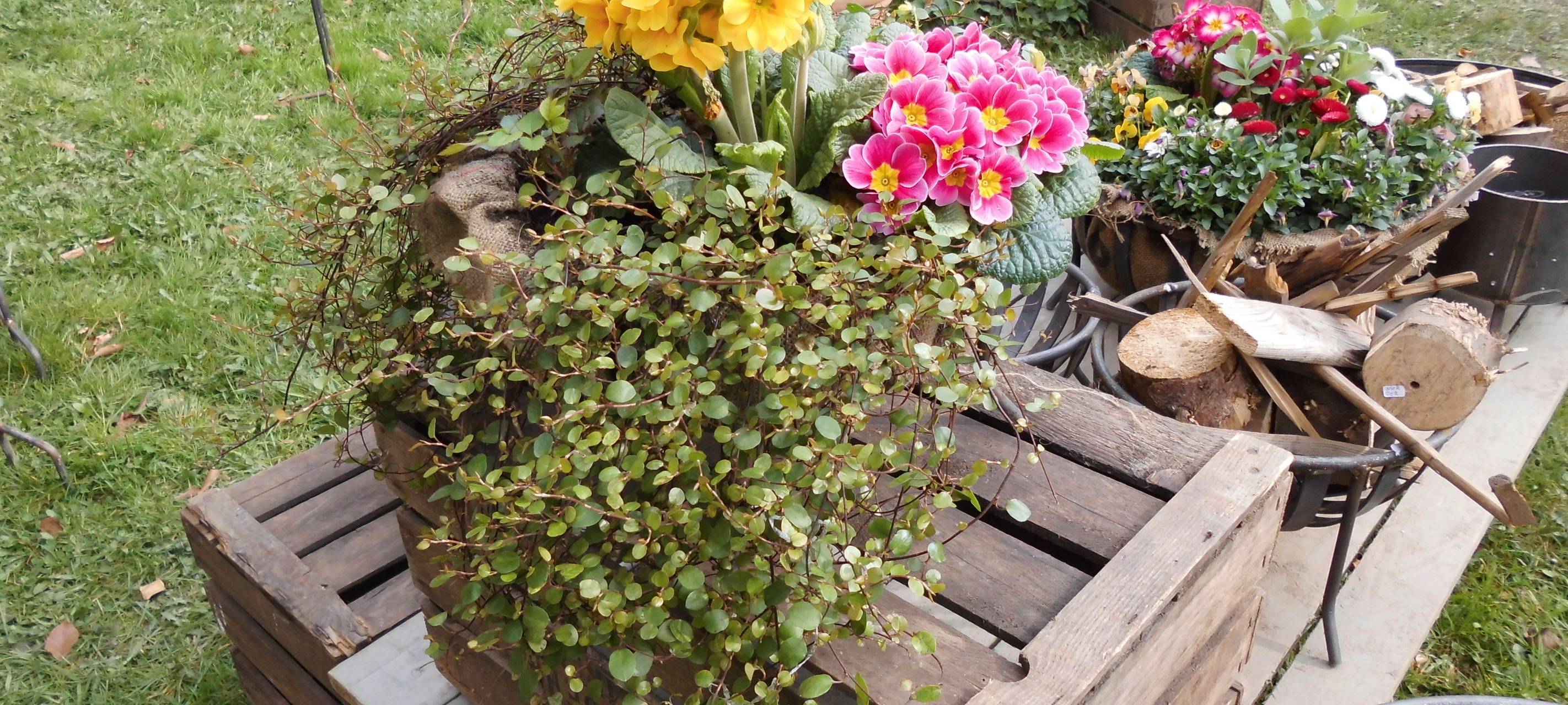 Frühlingserwachen am Schloss Hardenberg am 25.03.2023 und 26.03