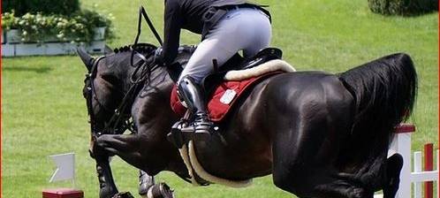 23.04.2023 Parcours Springreiten unter Turnierbedingungen