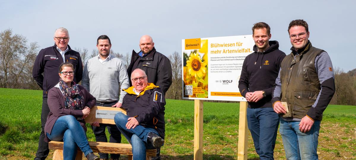 Neue Blühwiese in Heiligenhaus