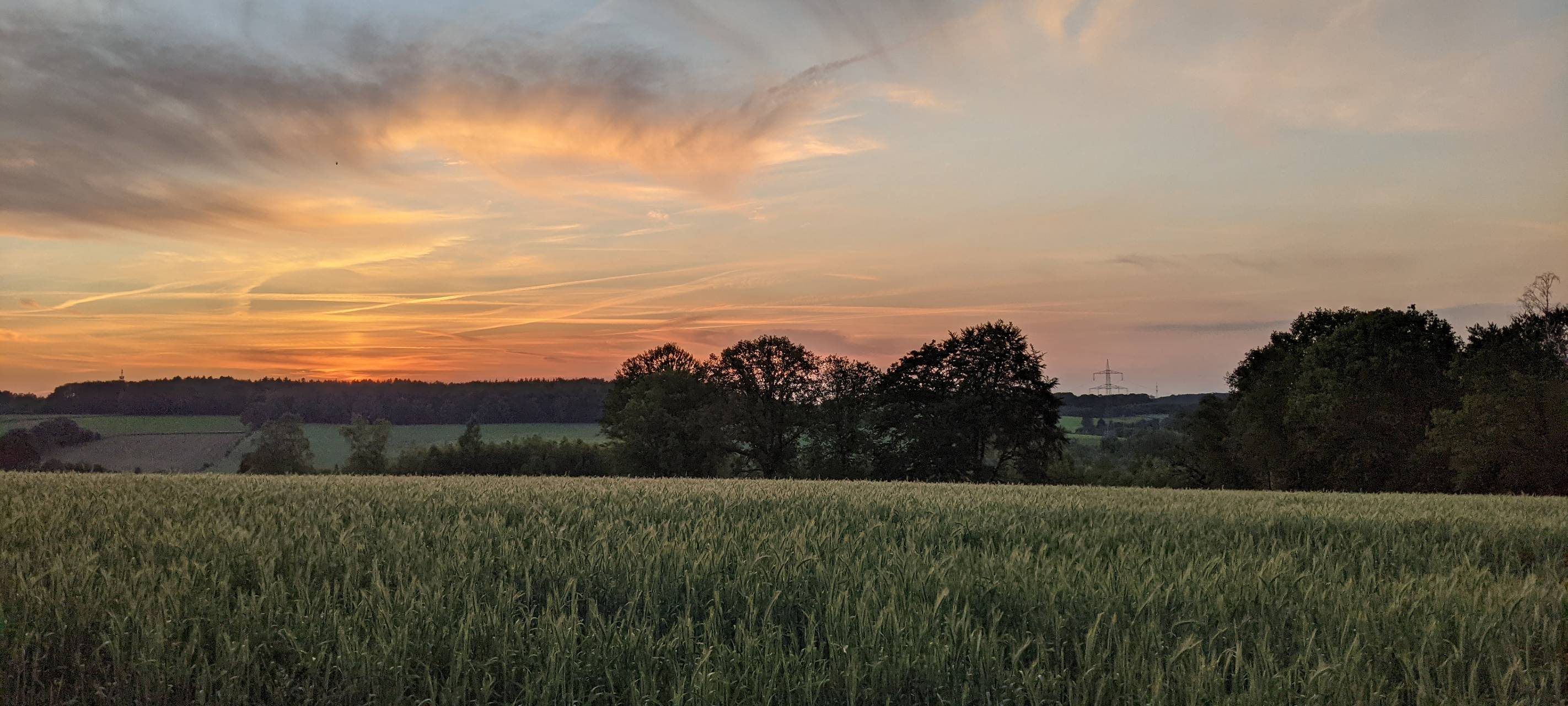 Nick Steven Heißenberg