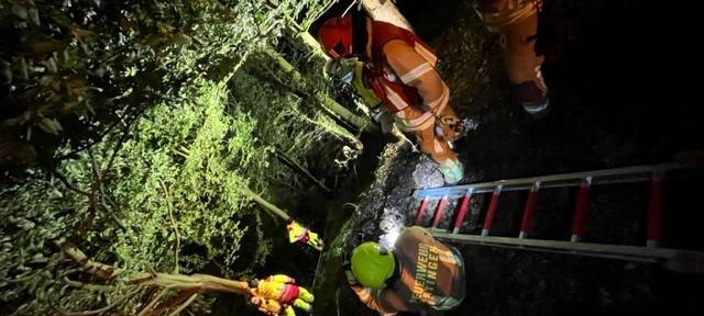 Mann aus Schlucht gerettet