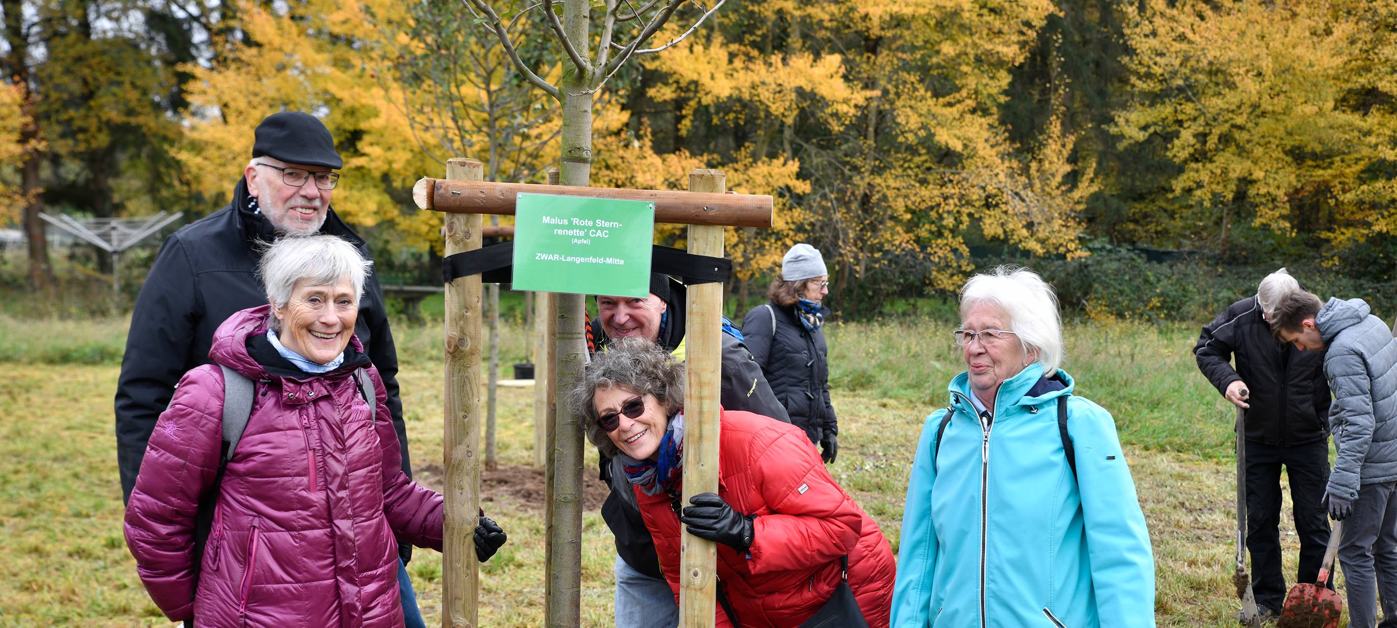 Langenfeld will Obstbäume pflanzen - Spender gesucht