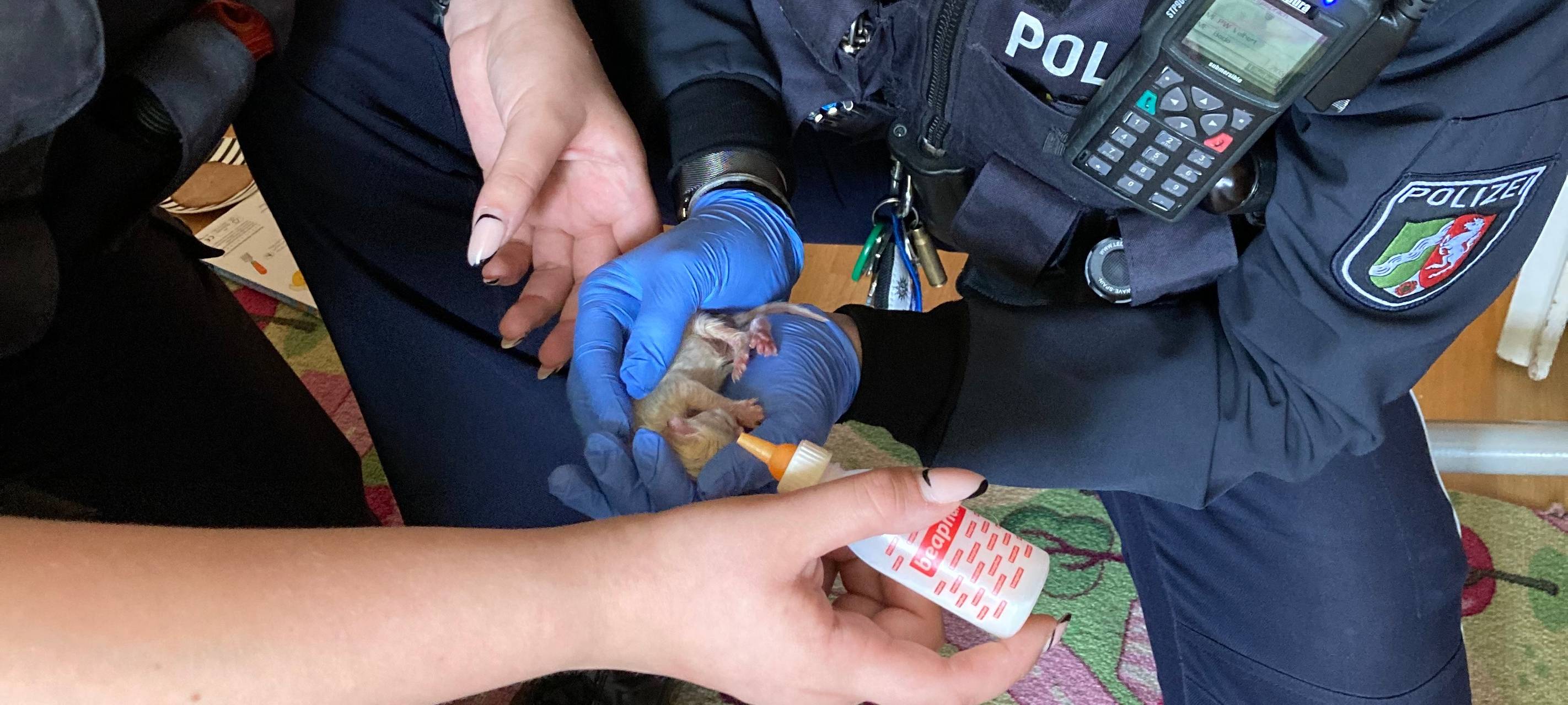 Heiligenhaus: Polizei rettet Katzenbaby aus Wohnung