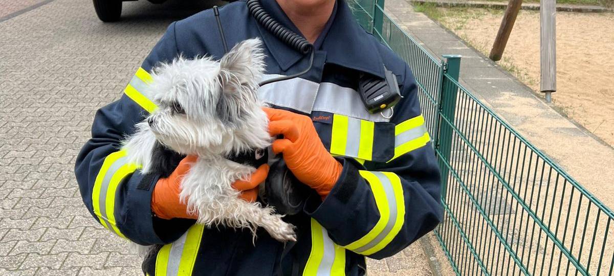 Langenfeld: Frau und Hund gerettet