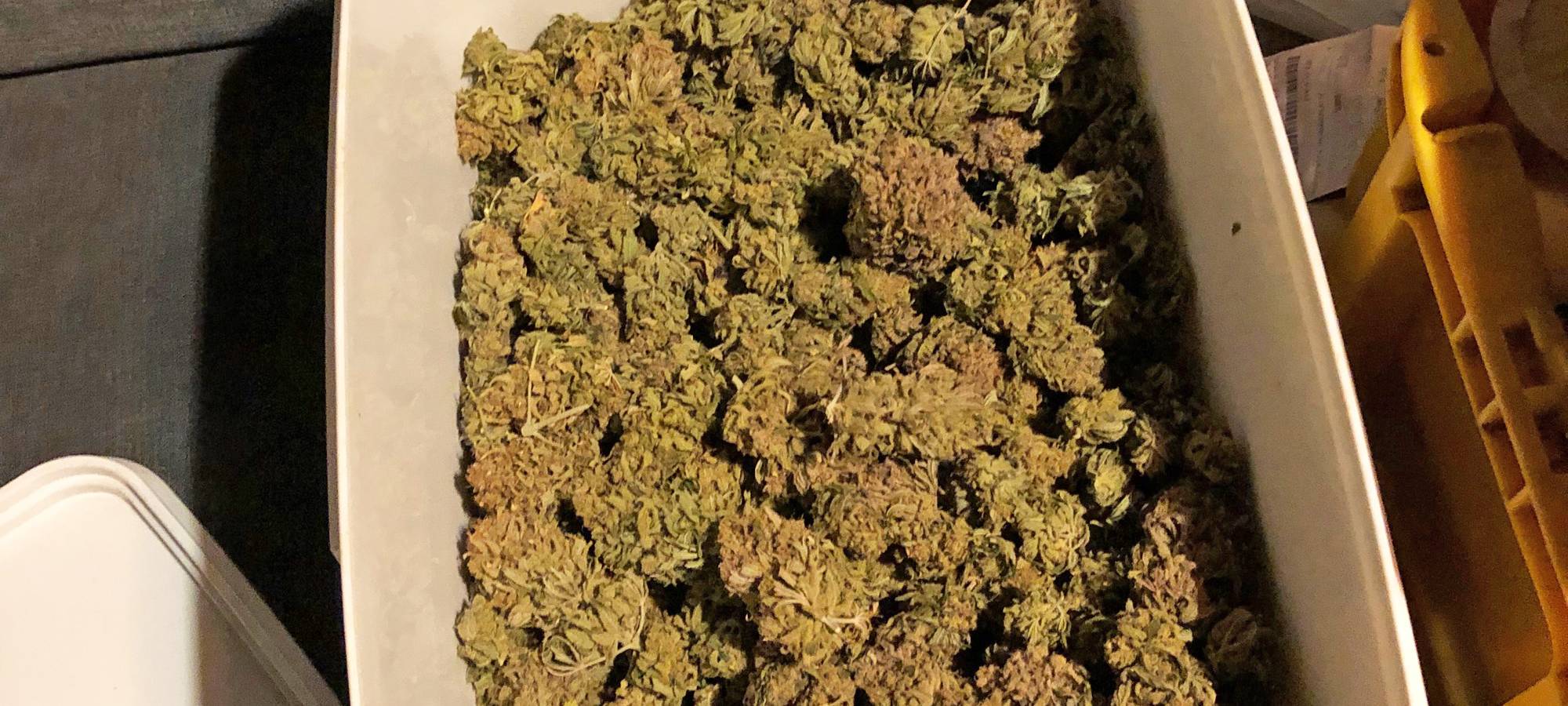 Über fünf Kilo Cannabis sichergestellt