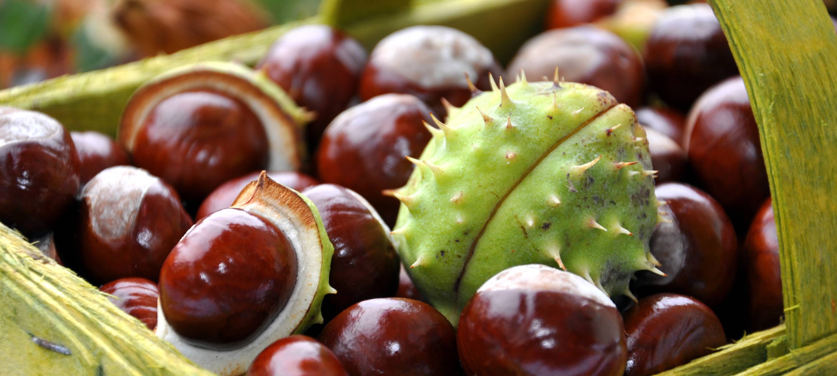 21.+22.10.2023 Herbstzauber-Kreativmarkt in Velbert Neviges