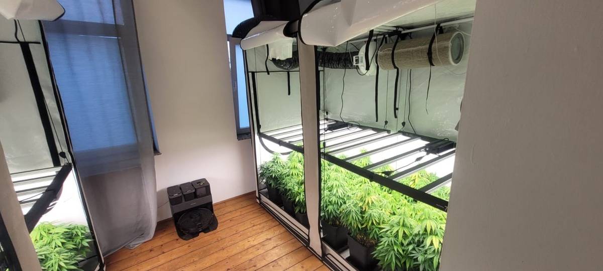 Rauchmelder enttarnt Cannabisplantage in Ratingen