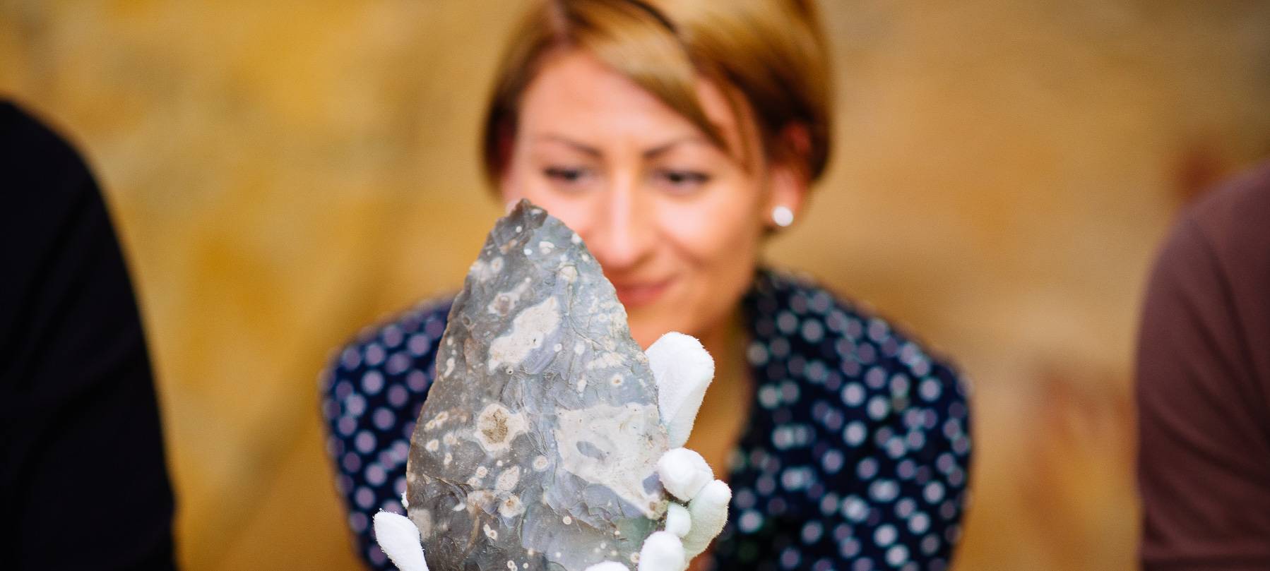 Bestimmungstag für Fundstücke