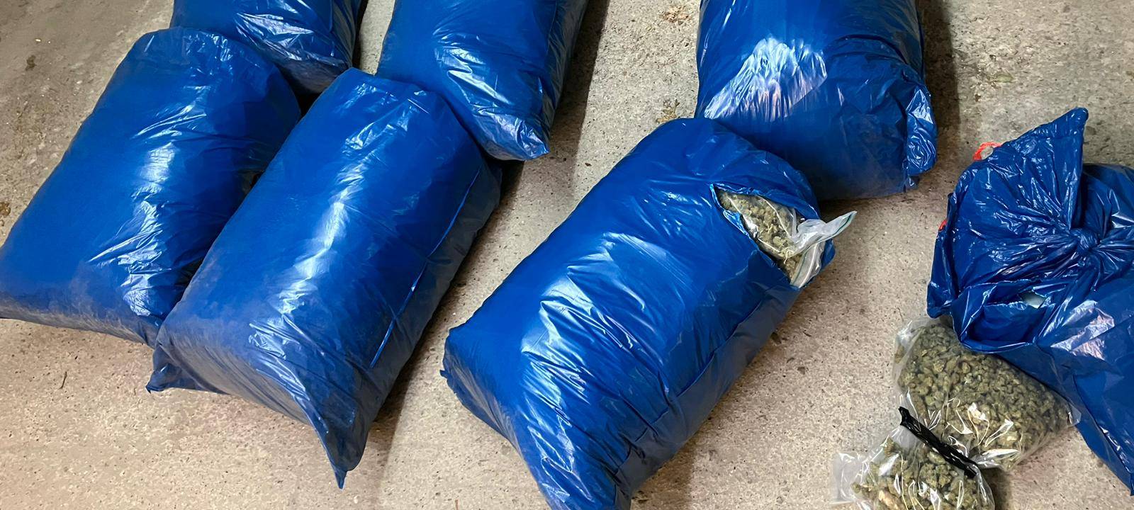 Cannabisplantage in Velbert ausgehoben