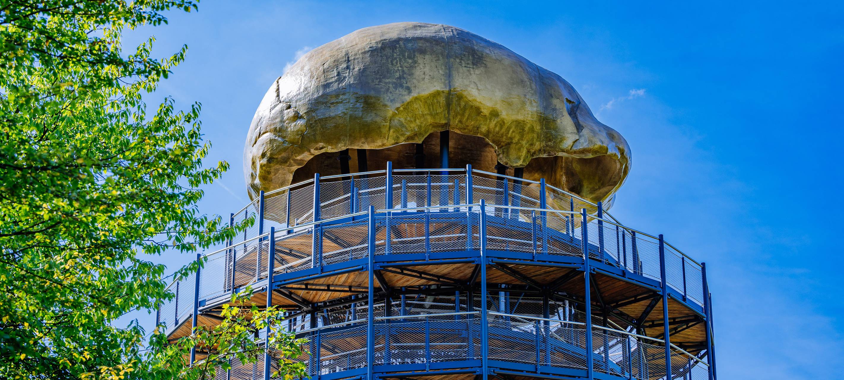 Neanderthal-Museum: Erfolgreiches 2023