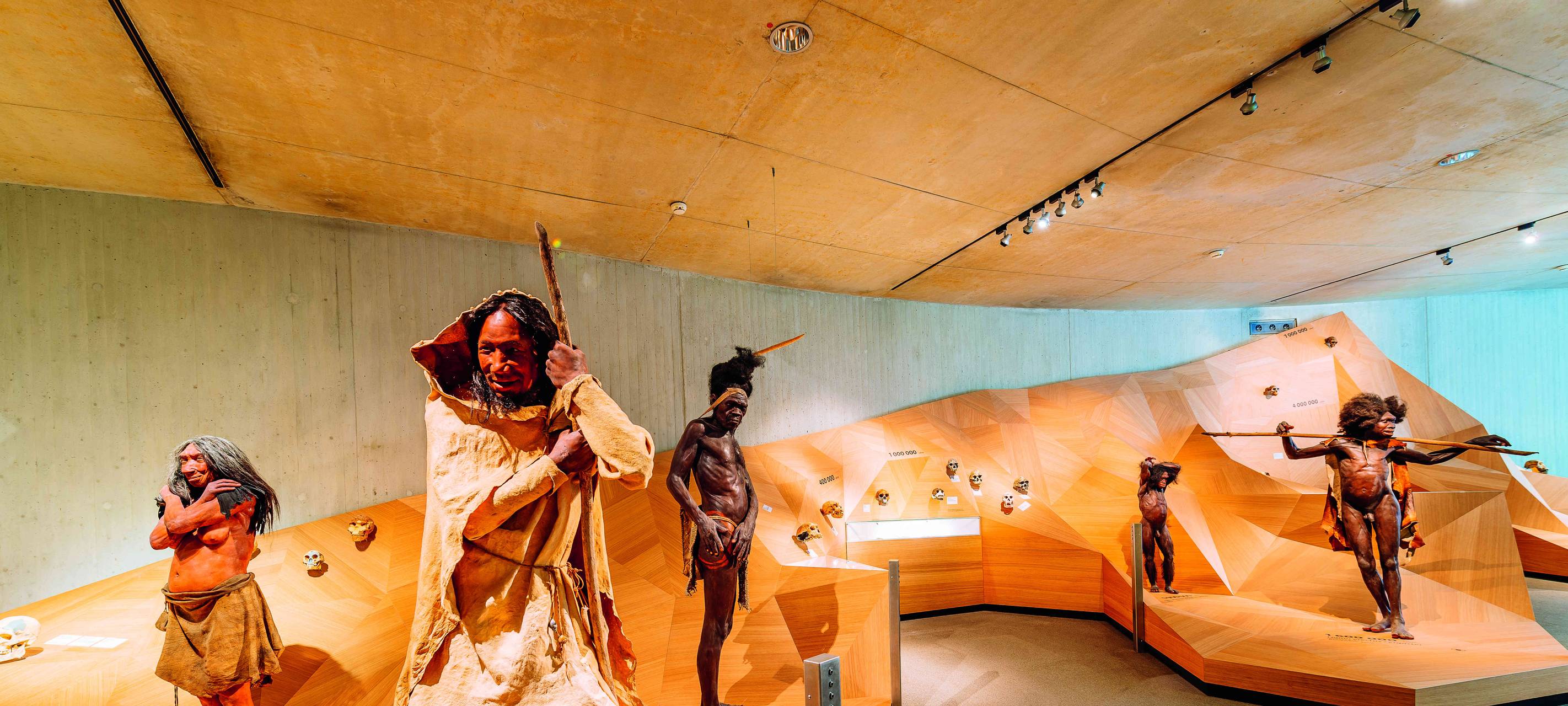 Bei Anruf Kultur im Neanderthal Museum