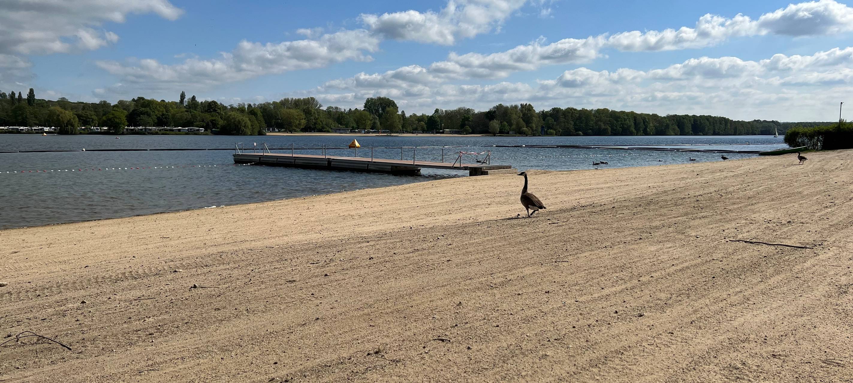 Badegewässer: Ausgezeichnete Wasserqualität