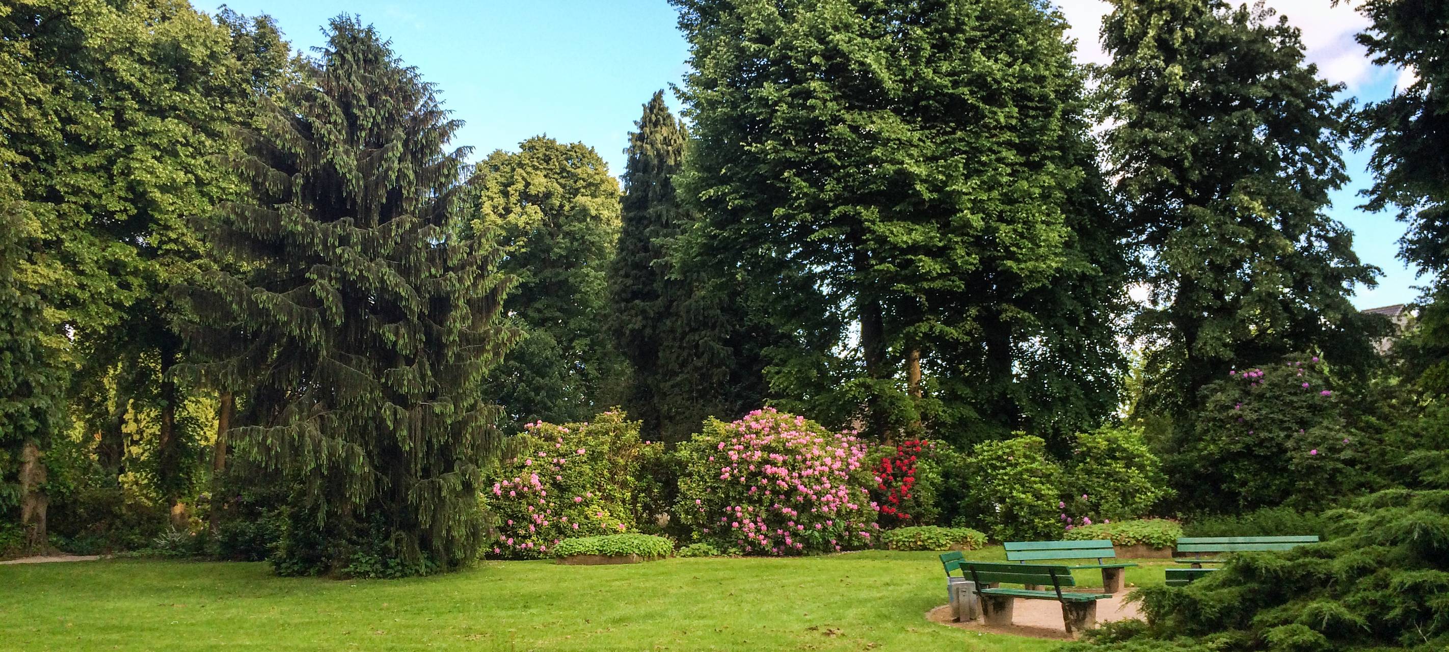 Kreis Mettmann: Private Gärten öffnen heute