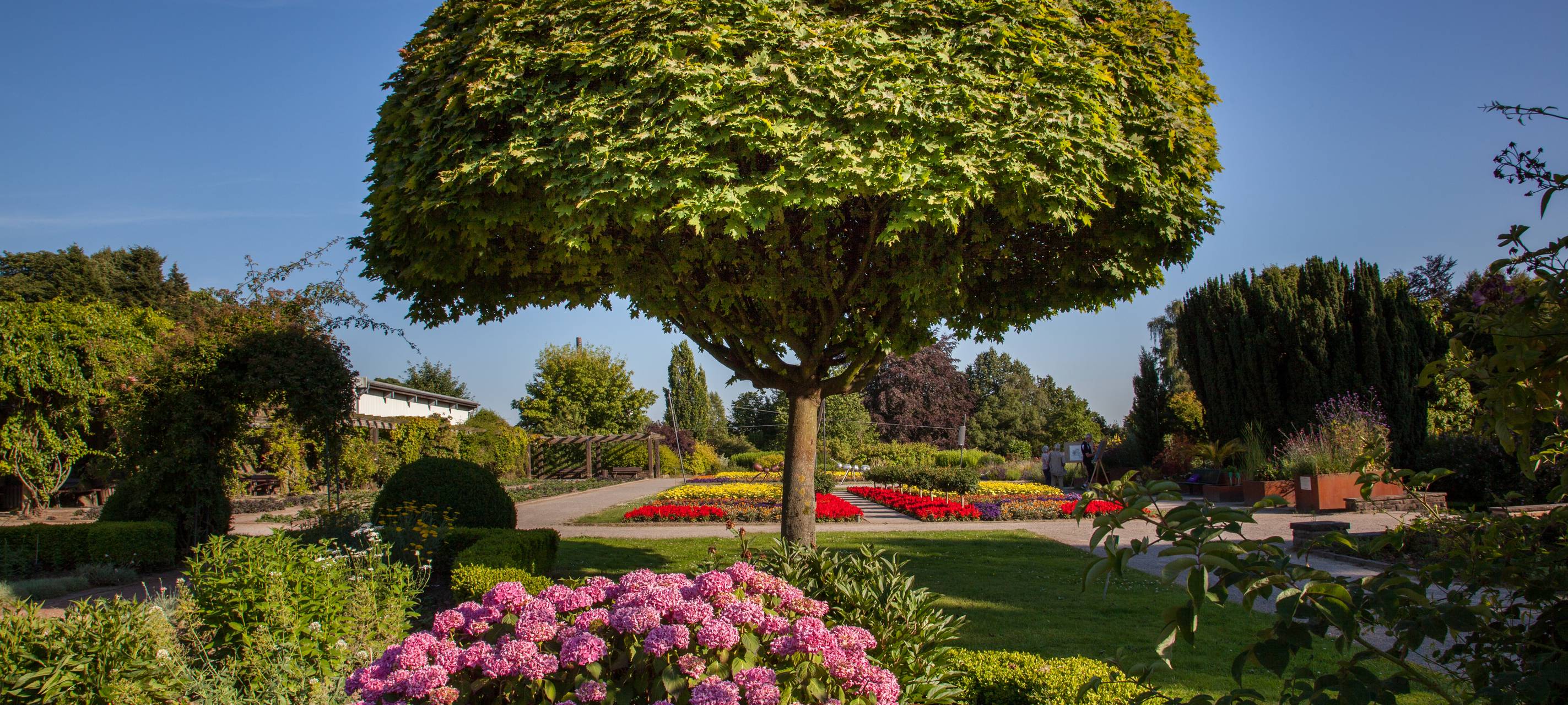 Langenfeld bekommt neue Bäume