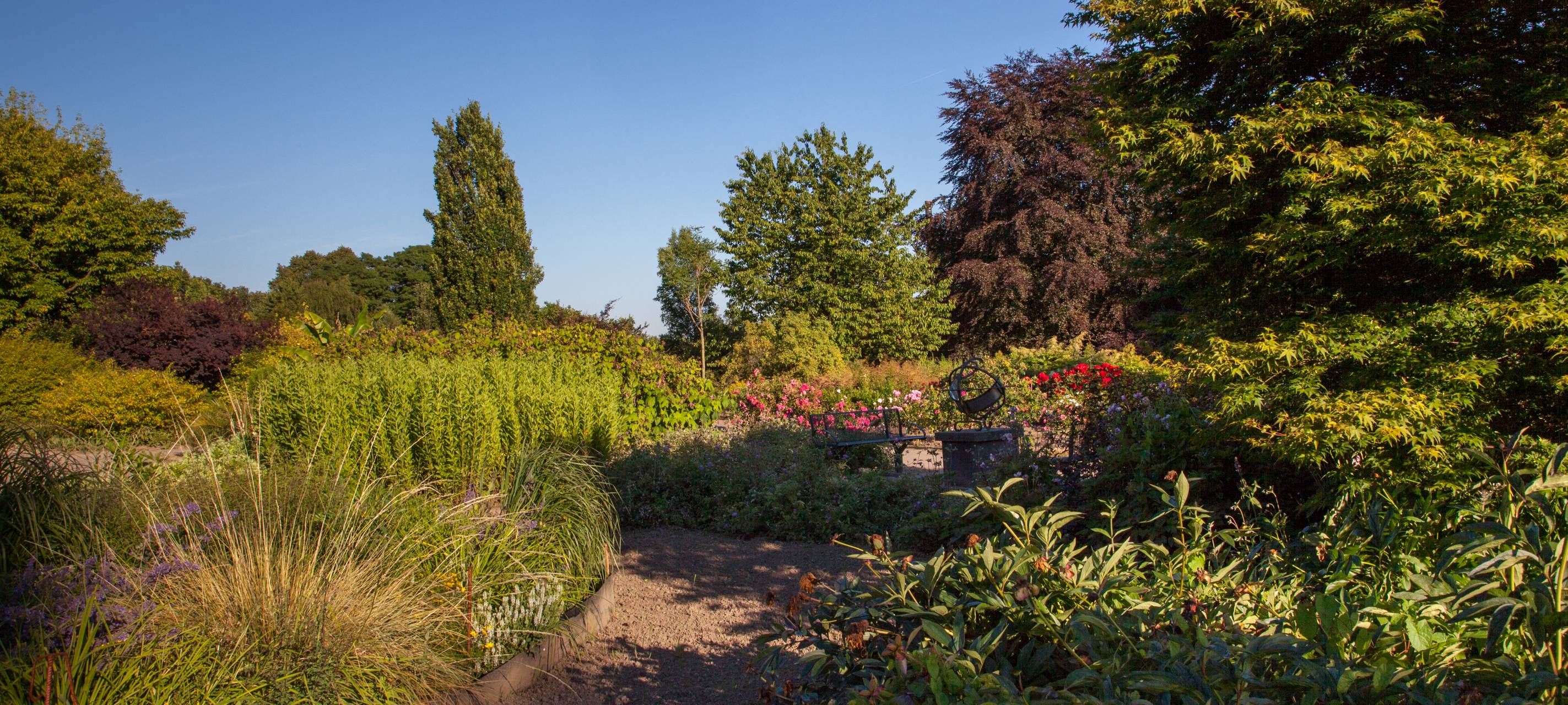NABU zählt Vögel und will Grund des Blaumeisensterbens herausfinden