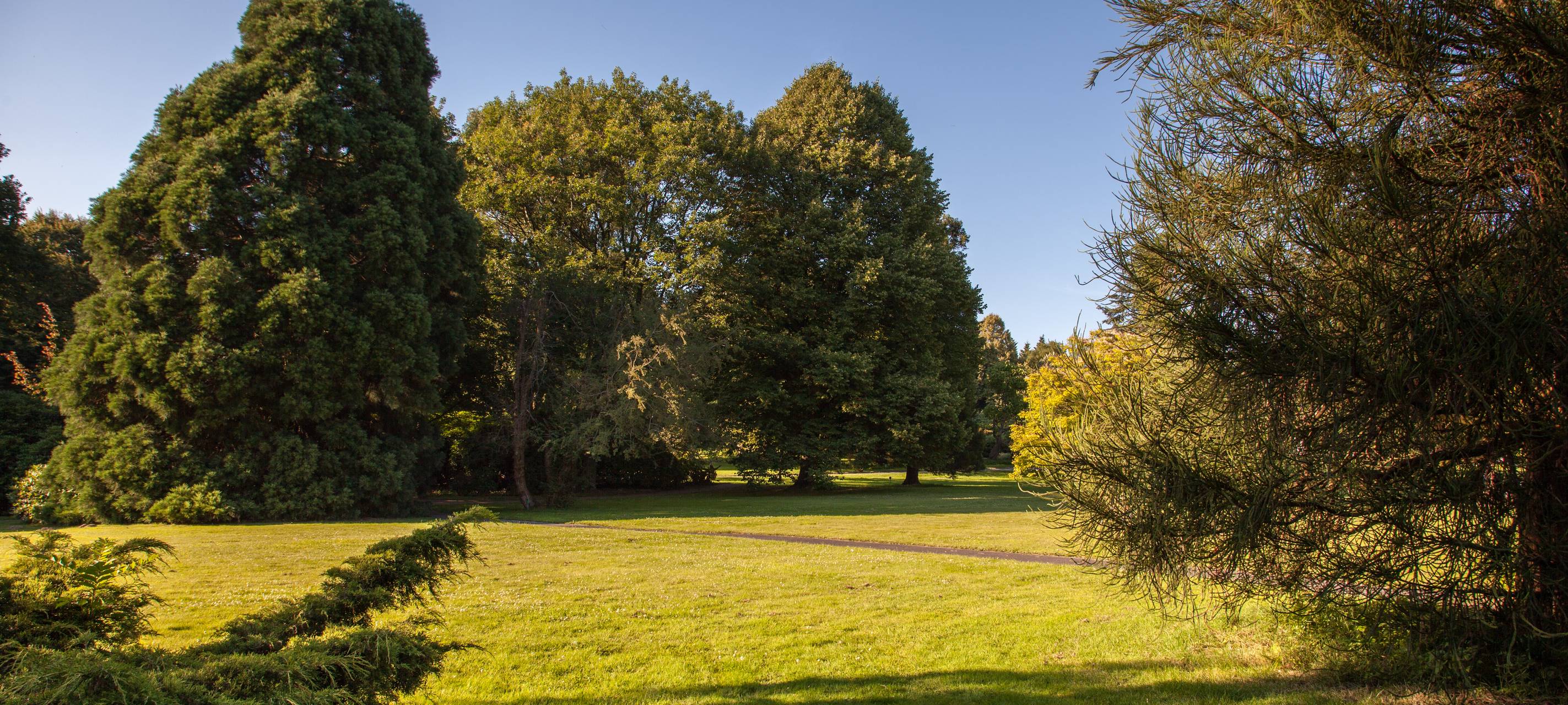 Erholungspark Volkardey muss gesperrt werden