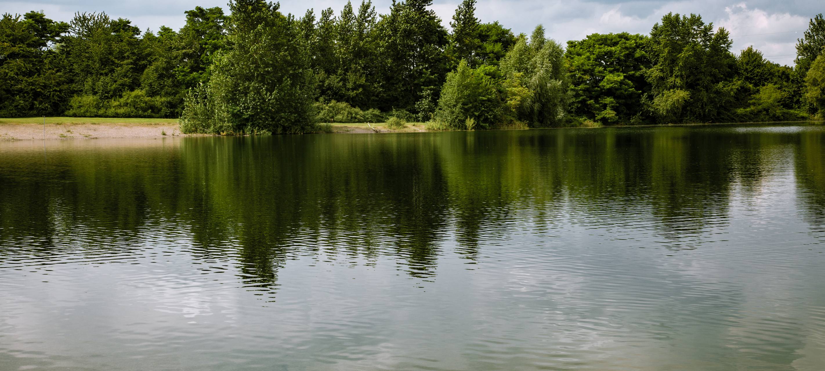 Mysteriöser Schädel am Unterbacher See sorgt für Polizeieinsatz