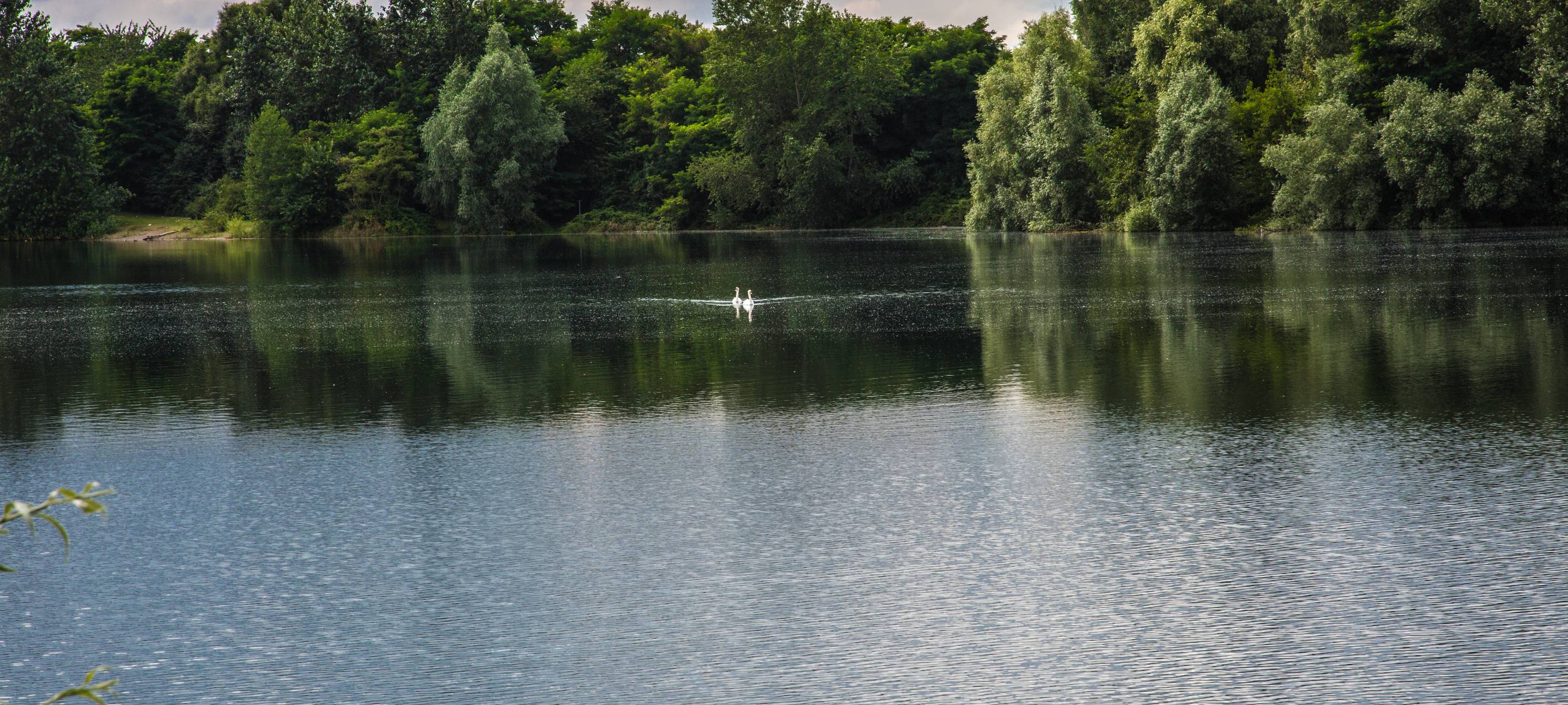 Auswertung: Badeseen mit guter Wasserqualität