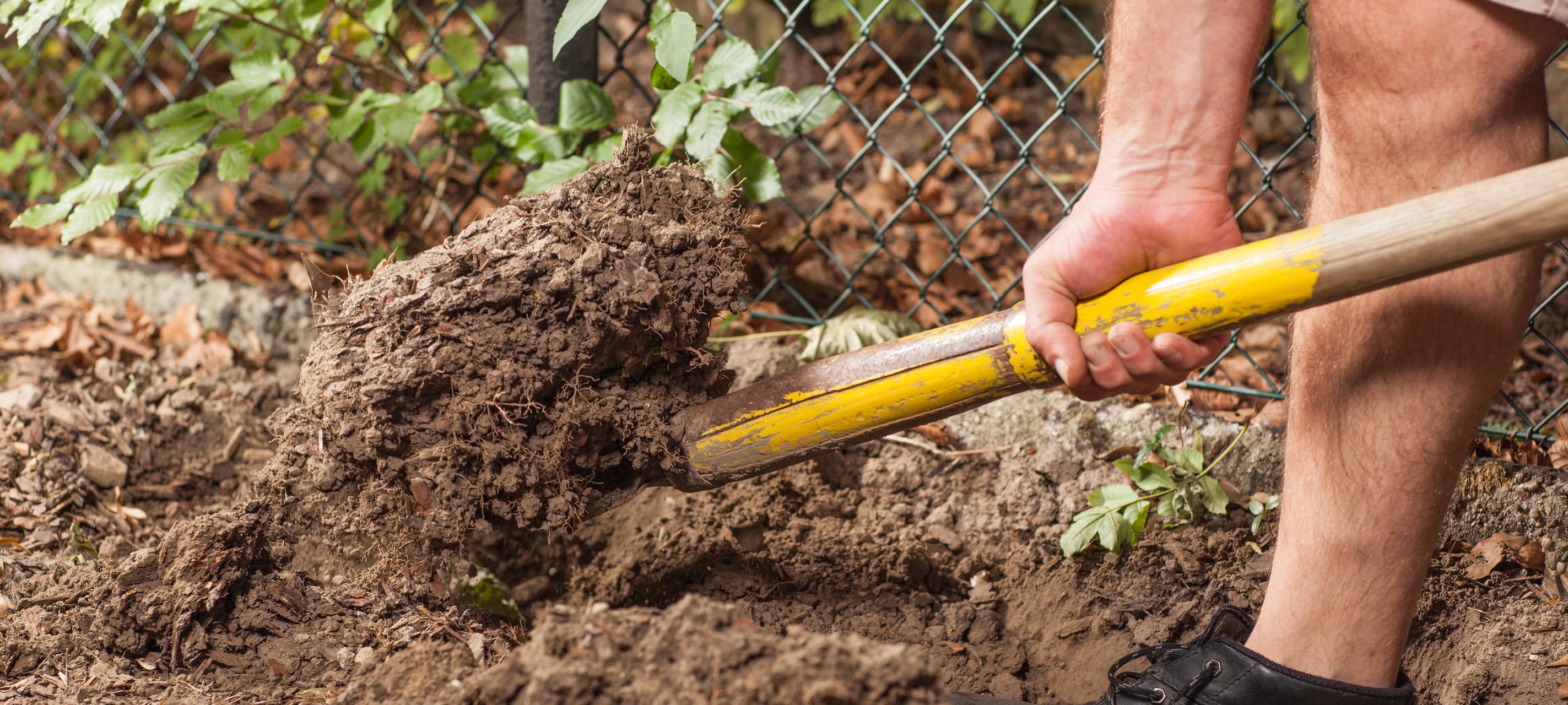 Krankenhaus in Langenfeld bekommt Therapie-Garten