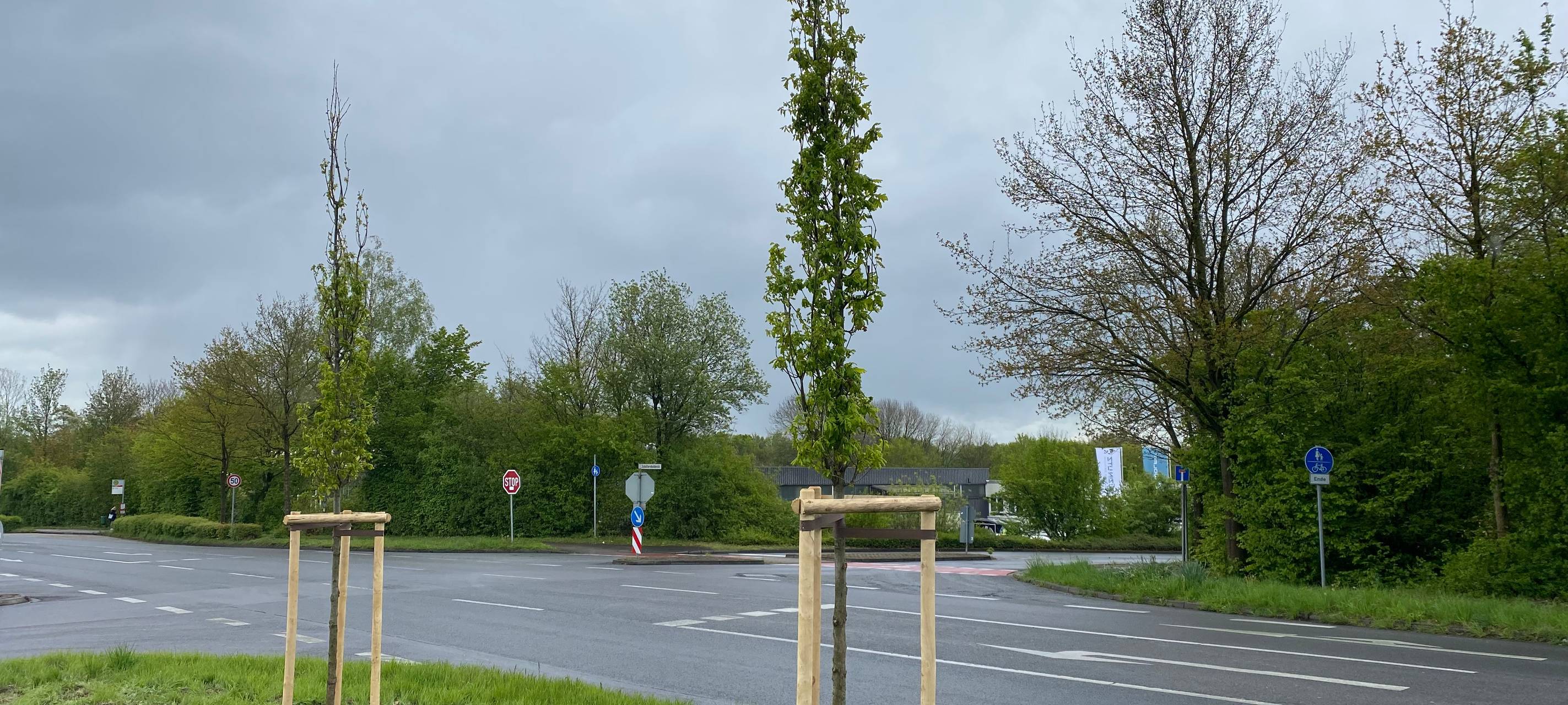 50 neue Bäume für Mettmann