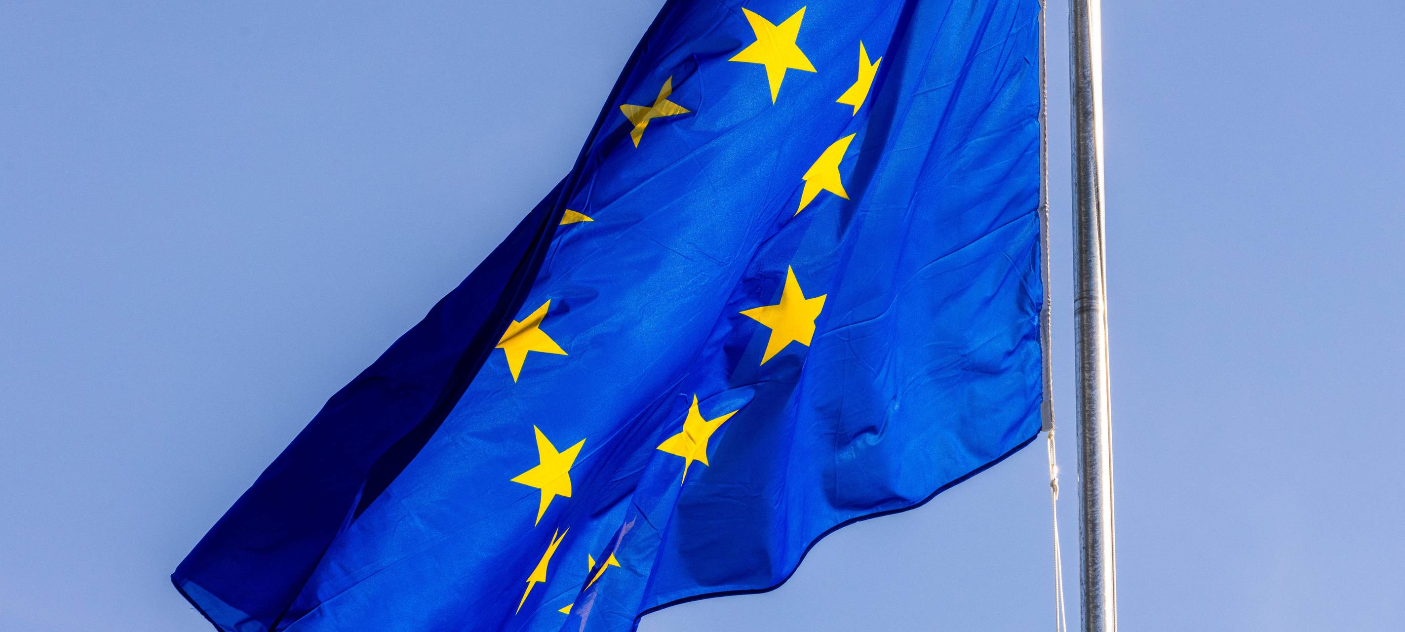 Hendele ruft zur Teilnahme an der Europawahl auf