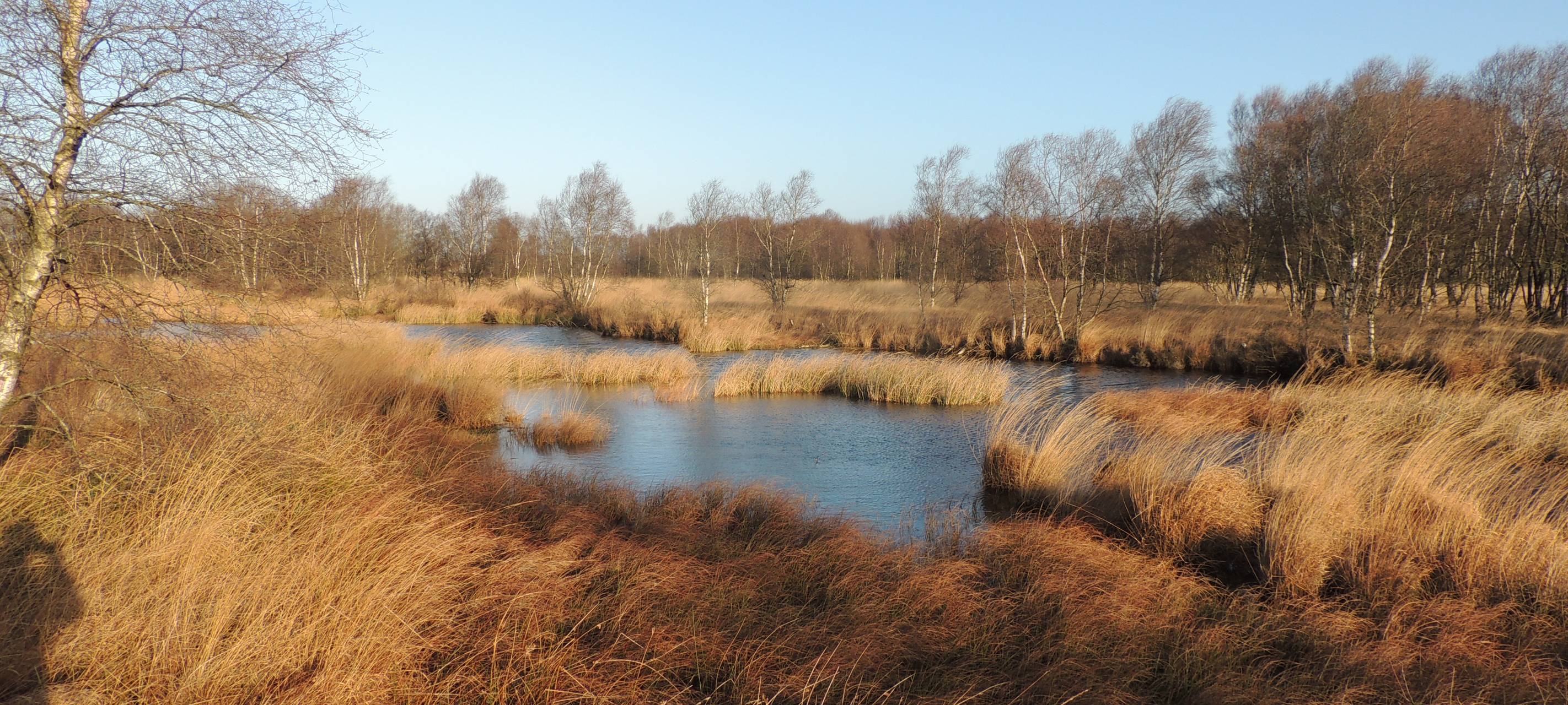 Moore sollen geschützt werden
