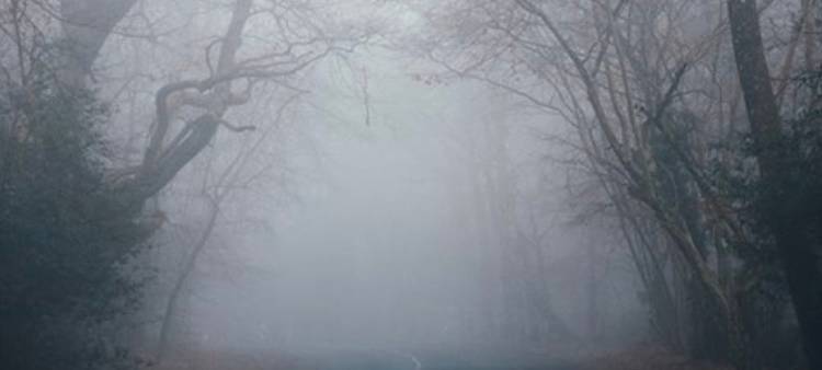 Ölspur und dichter Nebel: Vorsicht im Kreis Mettmann