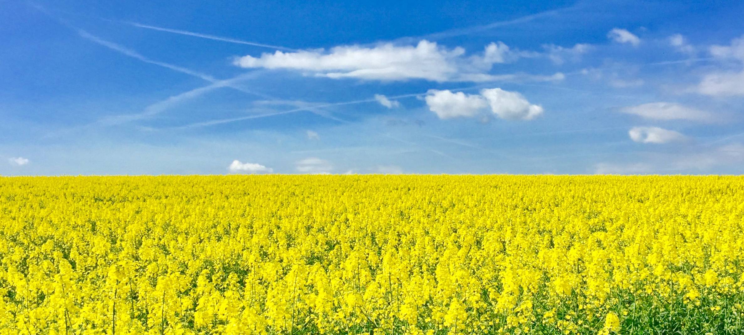 Mettmann bekommt Geld für Grünflächen