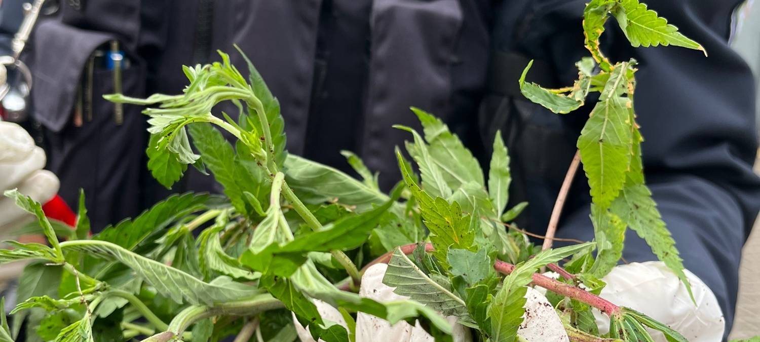 Langenfeld: Säcke voll Cannabis weggeworfen