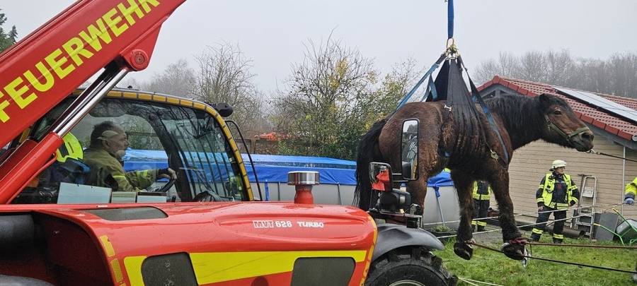 Erkrath: Feuerwehren retten Pferd
