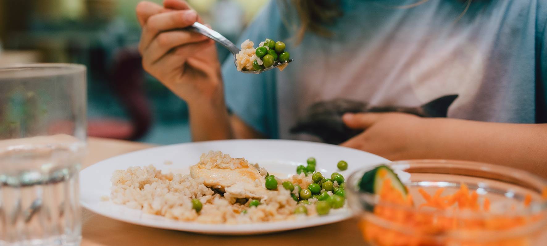 NGG fordert kostenloses Schulessen