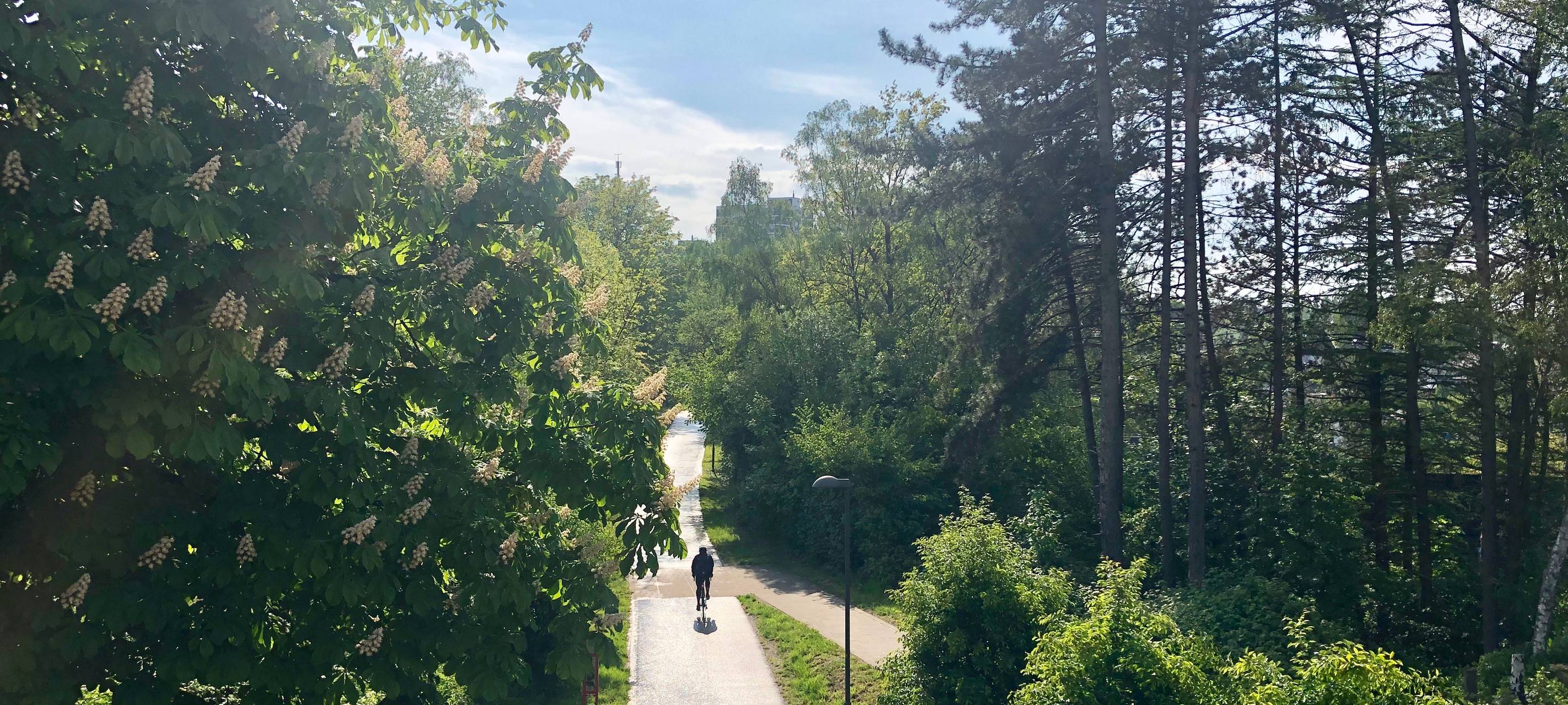 PanoramaRadweg: Polizei will durchgreifen
