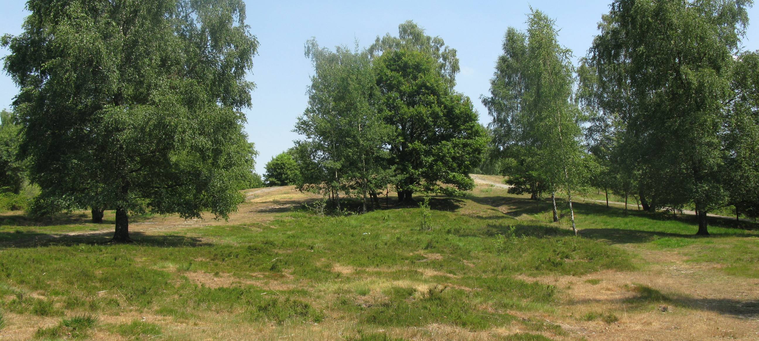 Hilden: Stadtpark teurer als gedacht