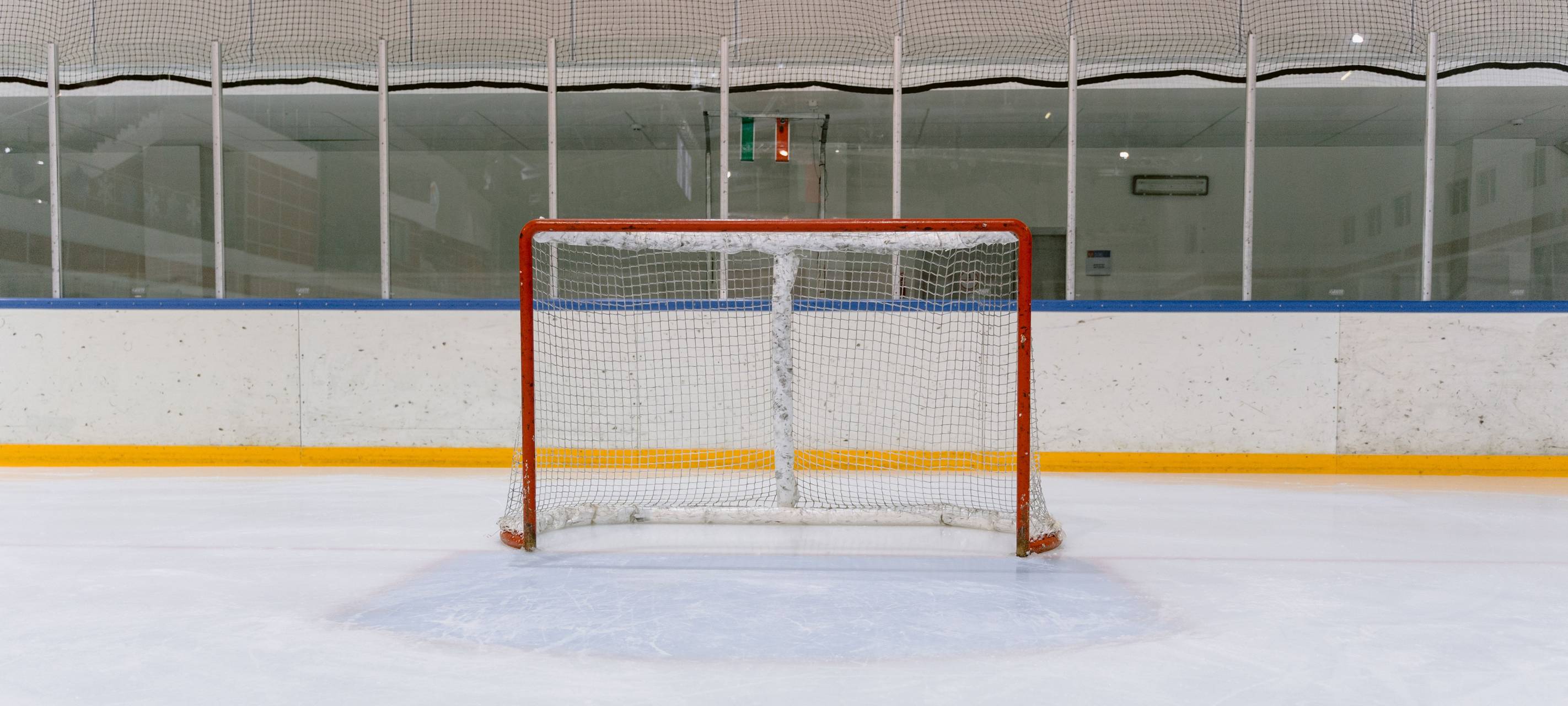 Ice Aliens: drittes Finalspiel in Essen