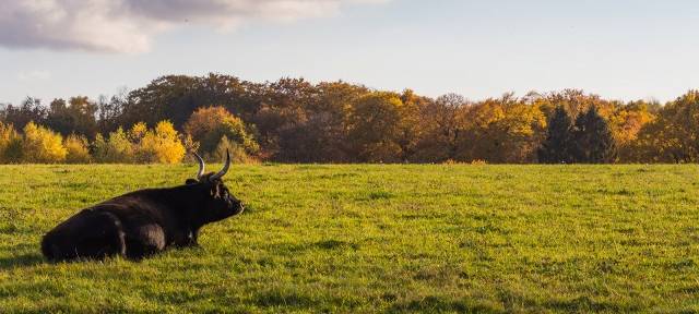 FÖJ beim Kreis Mettmann