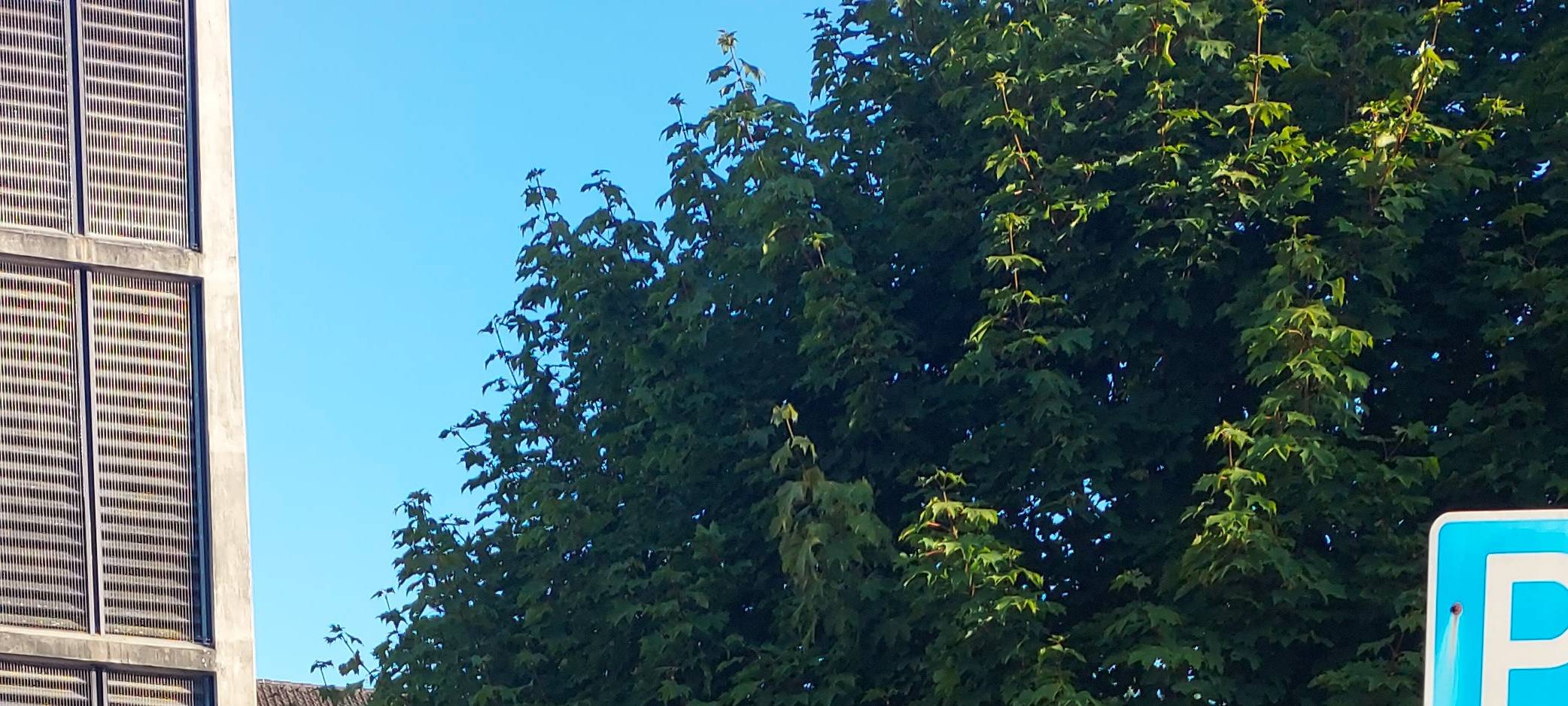 Schulwegsicherheit in Langenfeld